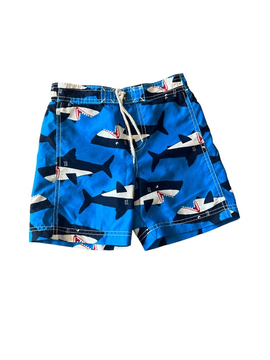 Boys Shark Swim Suit