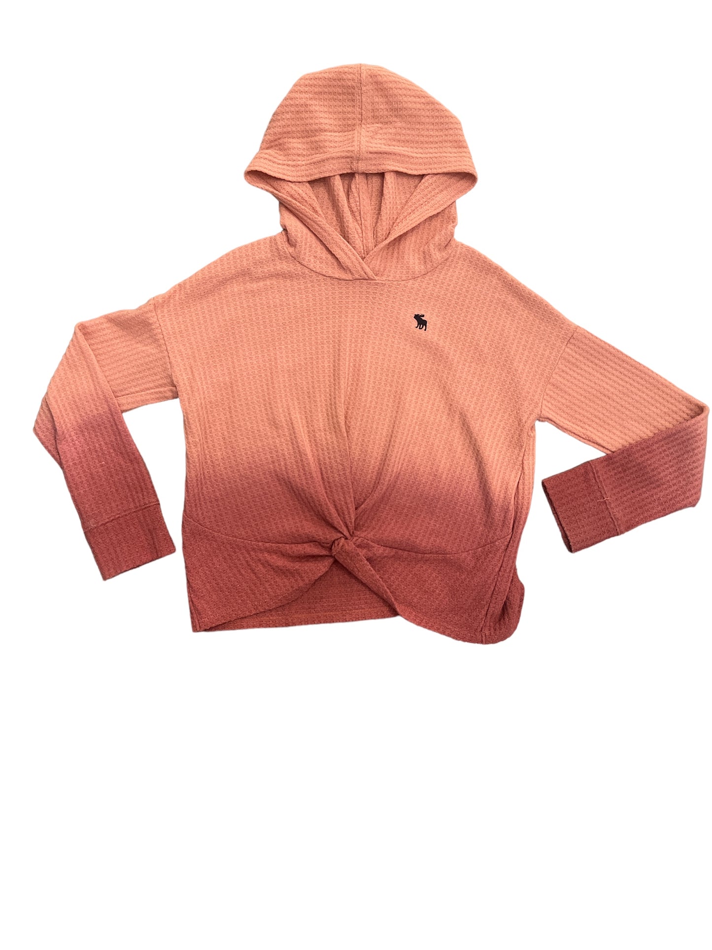 Abercrombie Ombré Hoodie