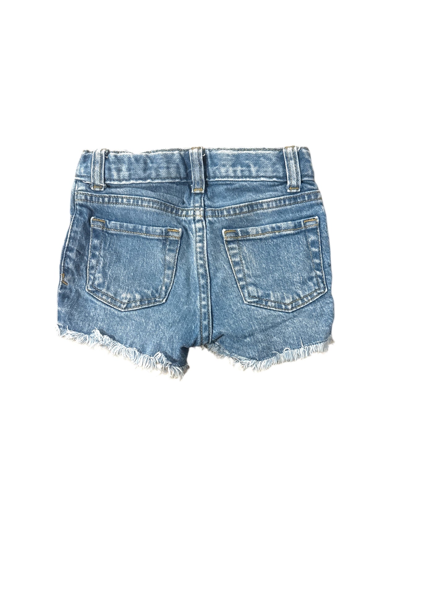 Girls Jean Shorts with Flowers